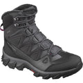 Salomon Breccia 2 GTX Winterschuh