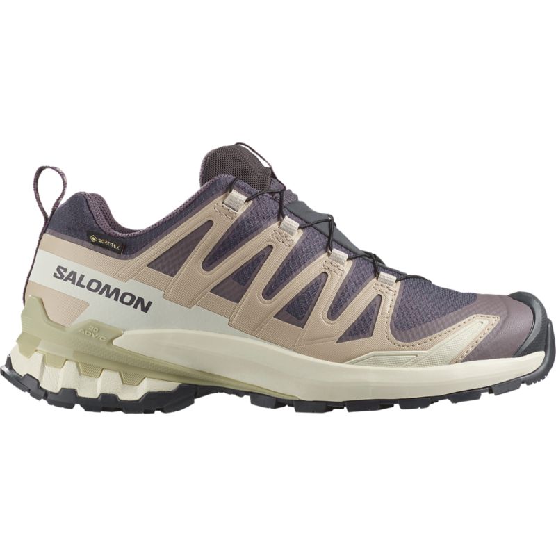 Salomon XA PRO 3D V9 GTX futócipő