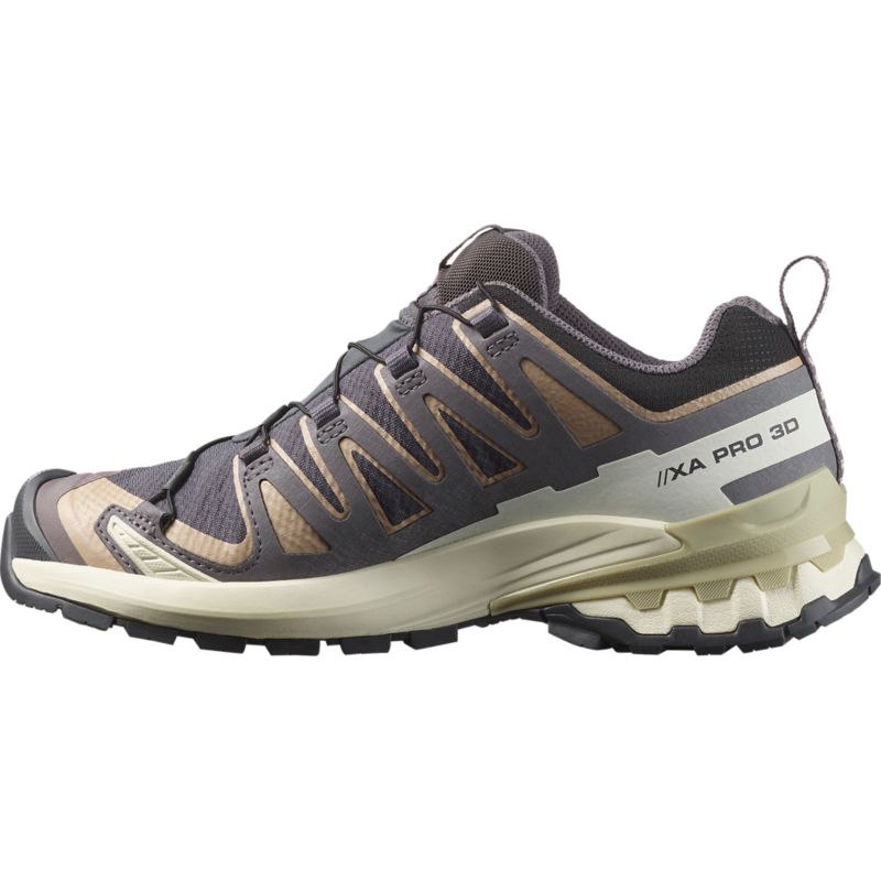Salomon XA PRO 3D V9 GTX Laufschuh