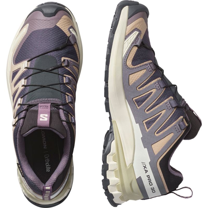 Salomon XA PRO 3D V9 GTX futócipő