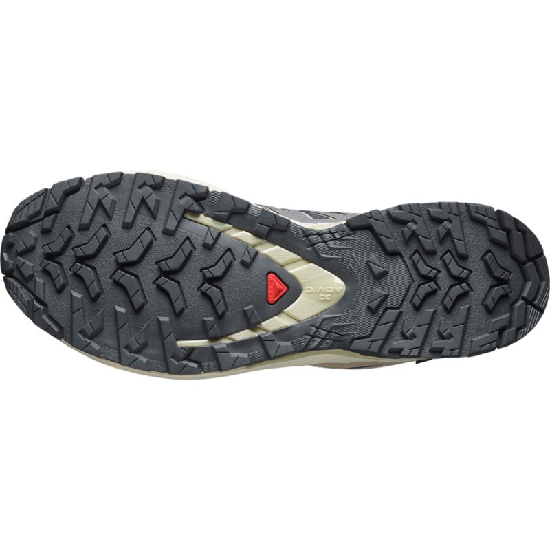 Salomon XA PRO 3D V9 GTX futócipő