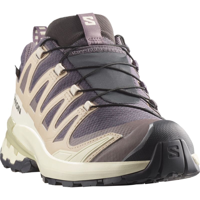 Salomon XA PRO 3D V9 GTX futócipő