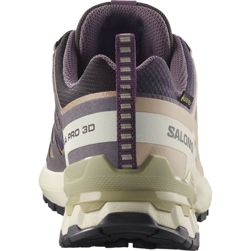 Salomon XA PRO 3D V9 GTX futócipő
