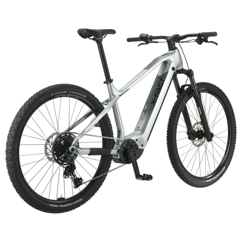 X Fact E-Race 29 eBike