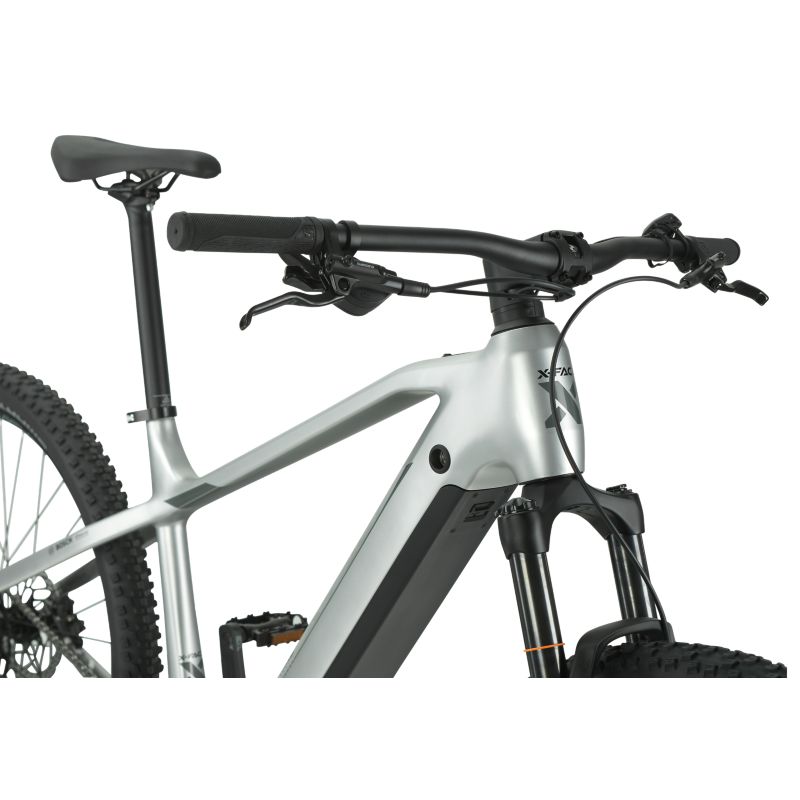 X Fact E-Race 29 eBike
