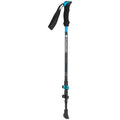 Kilimanjaro Mountain Carbon 2 Stock