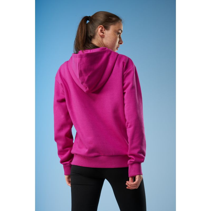 Benger BW HOODY Pullover