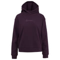 Benger BW HOODY Pullover
