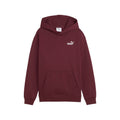 Puma ESS Small No. 1 logós laza kapucnis pulóver FL