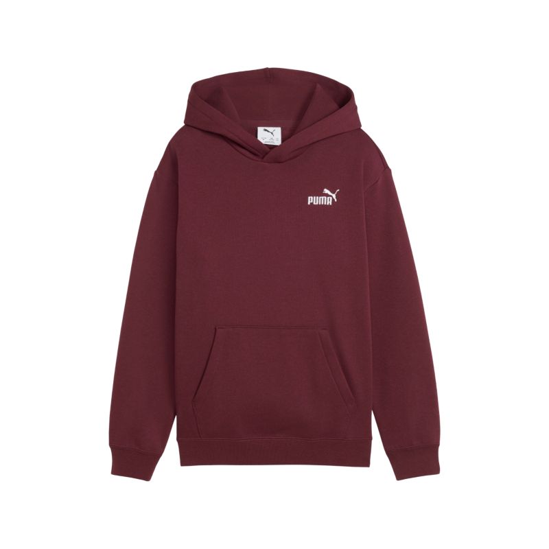 Puma ESS Small No. 1 logós laza kapucnis pulóver FL