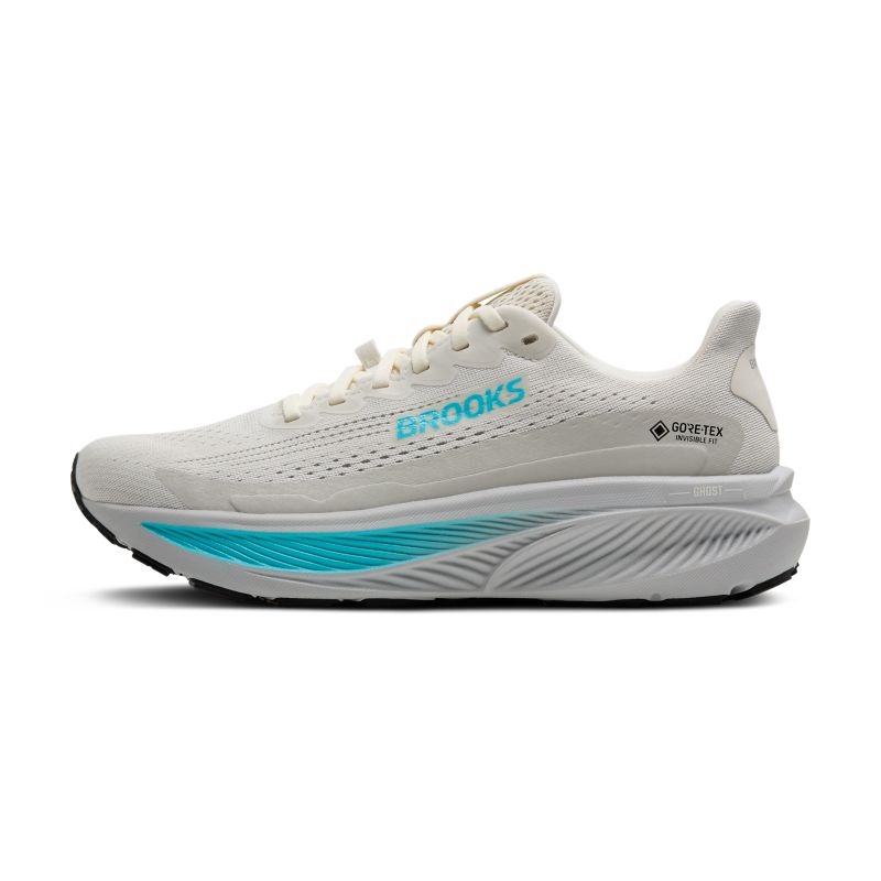 Brooks GHOST 17 GTX Laufschuh