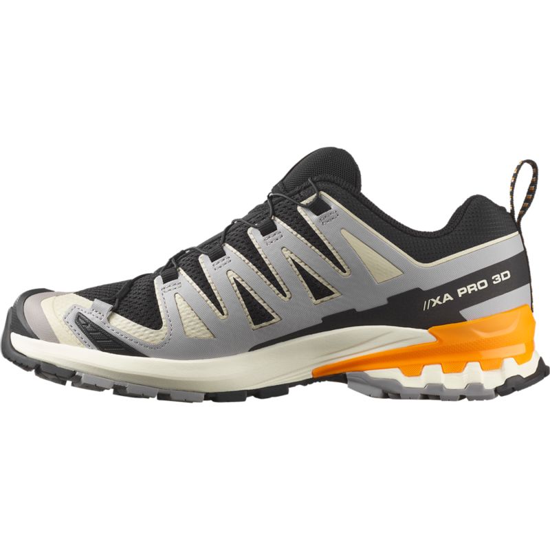 Salomon XA PRO 3D V9 futócipő