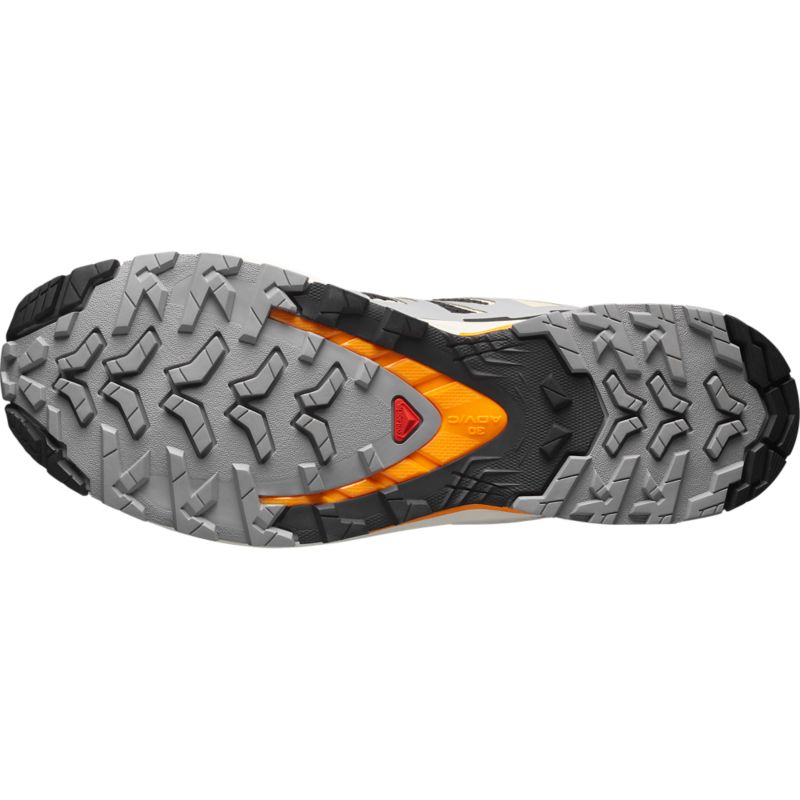 Salomon XA PRO 3D V9 futócipő