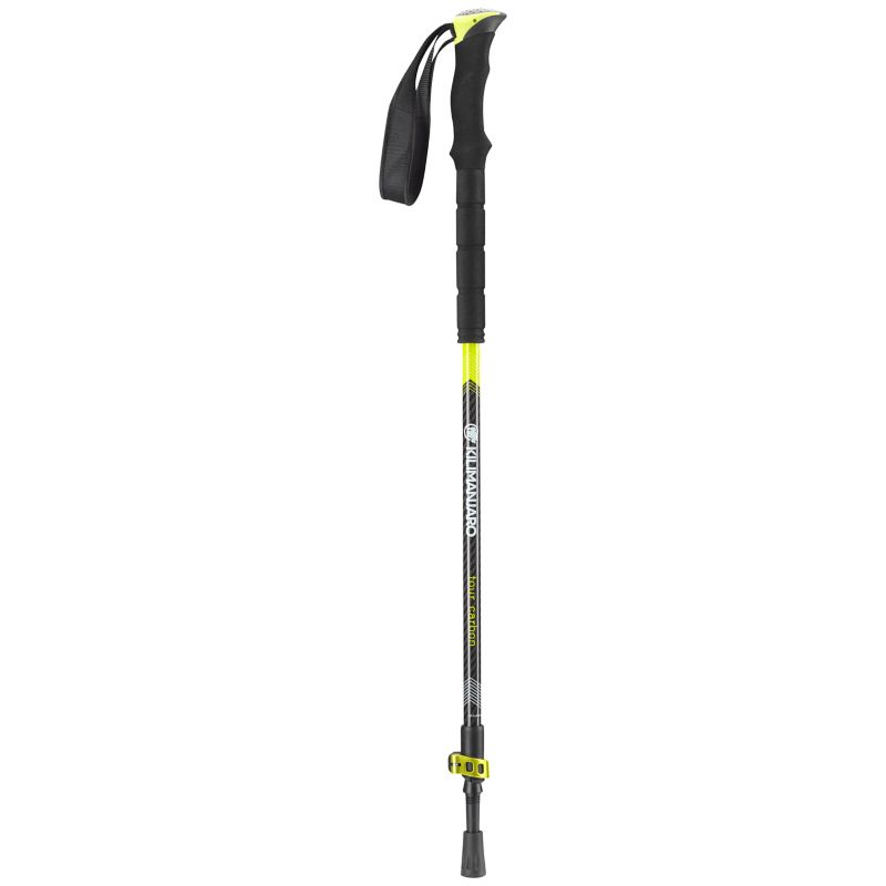 Kilimanjaro Tour 2 Carbon Stock