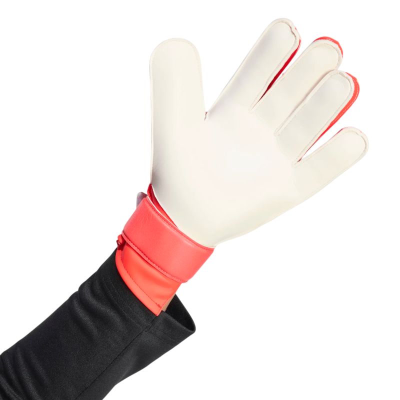 Adidas Predator Training Handschuh