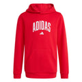 Adidas Codes Collegiate Graphic kapucnis pulóver