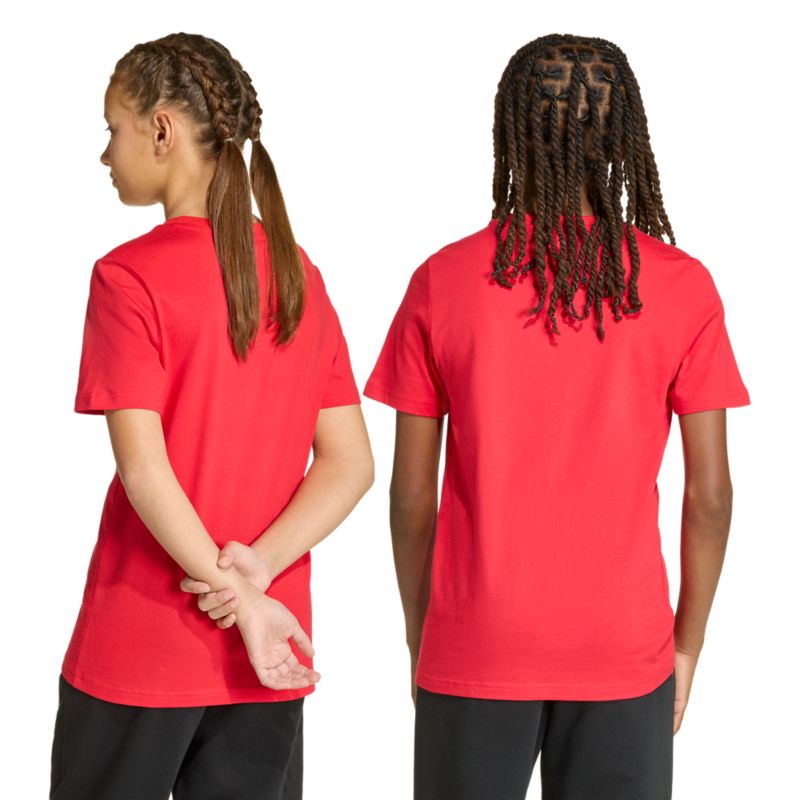 Adidas Collegiate Graphic Kids Tee T-Shirt