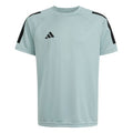 Adidas Sereno Tee funkcionális póló