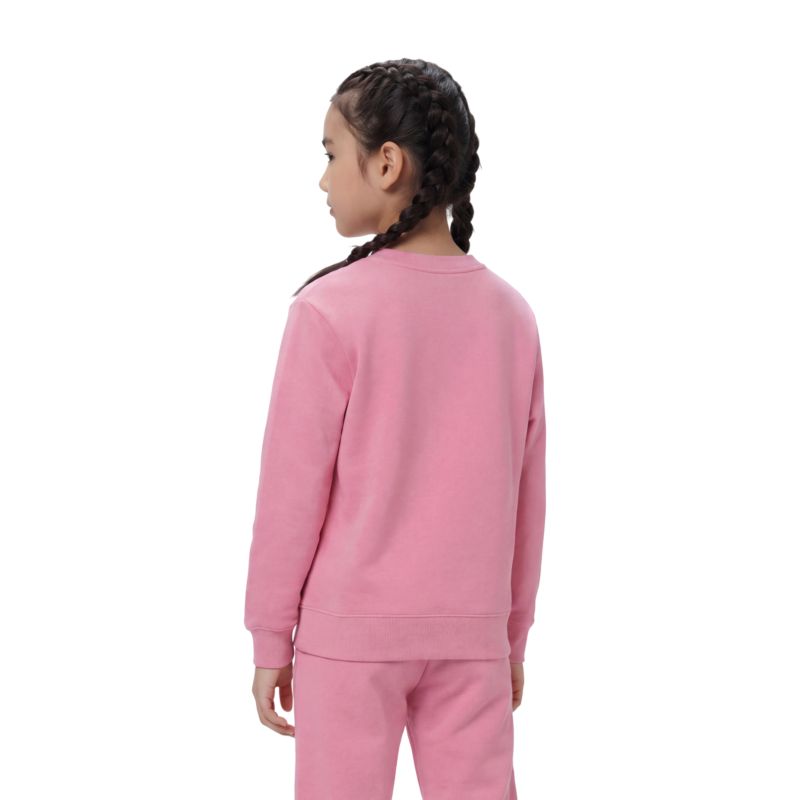 Champion Crewneck Sweatshirt Pullover