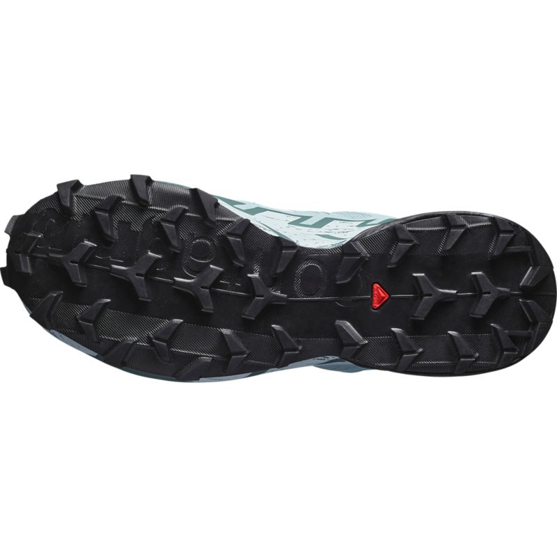 Salomon SPEEDCROSS 6 GTX futócipő