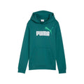 Puma ESS 2 COLOR No.1 Logo Hoodie TR B Pullover