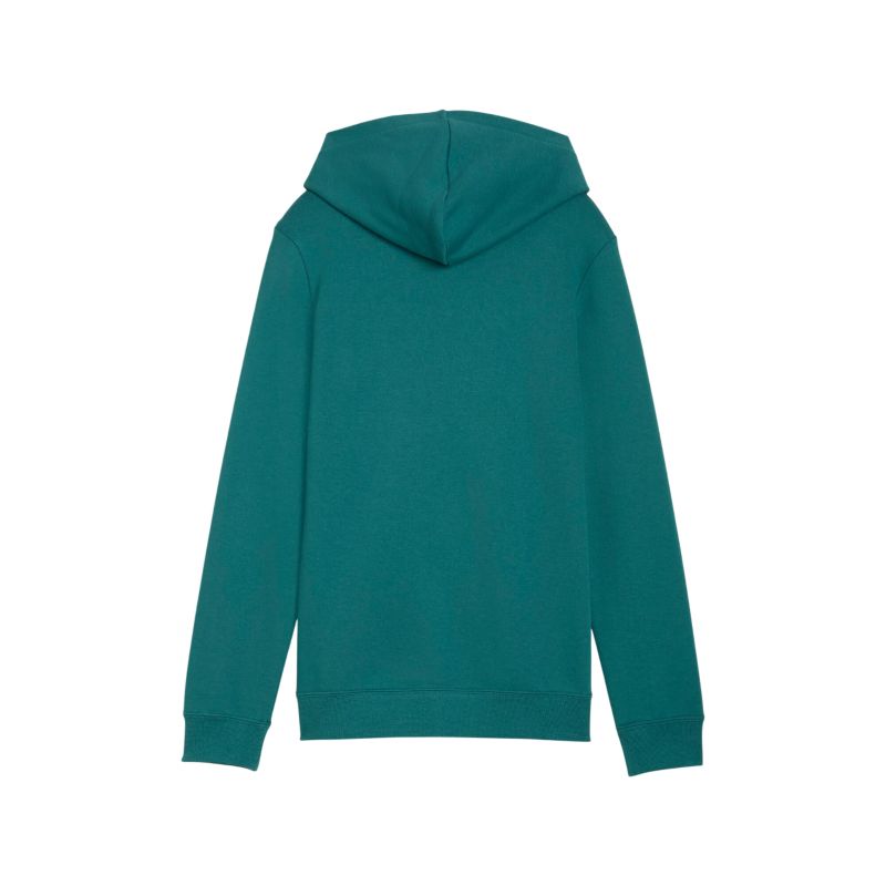 Puma ESS 2 COLOR No.1 Logo Hoodie TR B Pullover