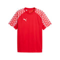 Puma teamLIGA26 Jersey Funktionsshirt