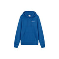 Champion Hooded Sweatshirt Pullover