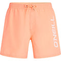 O´Neill Logo 16'' Swimshorts Badeshort