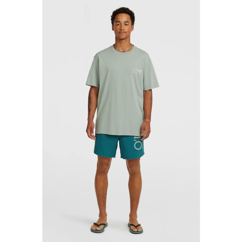 O´Neill Cali 16'' Swimshorts für Herren