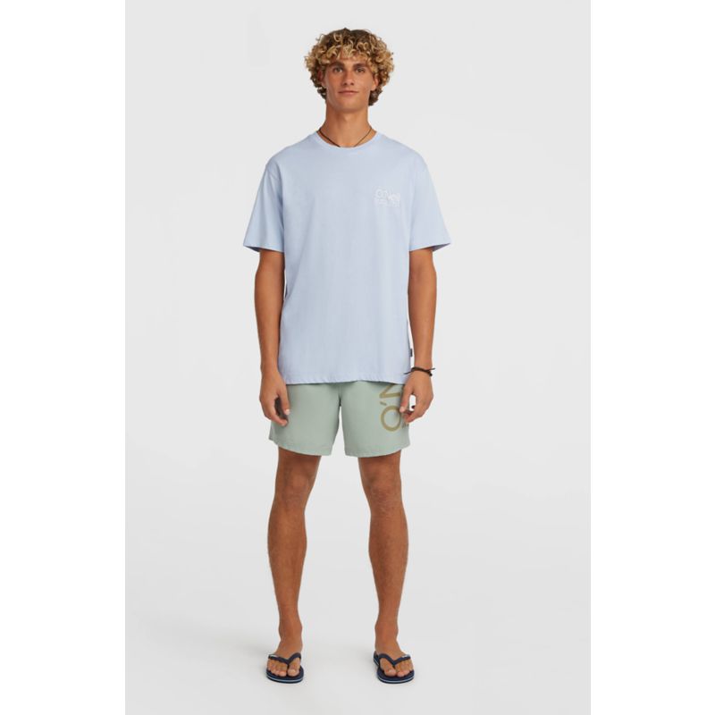 O´Neill Cali 16'' Swimshorts für strandoláshoz