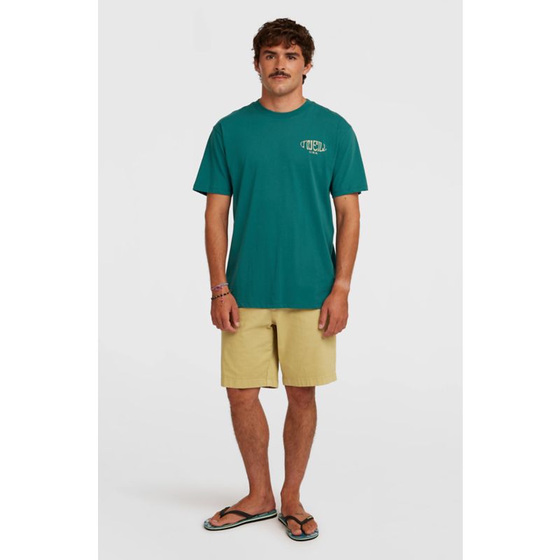O´Neill Box Logo Tee T-Shirt