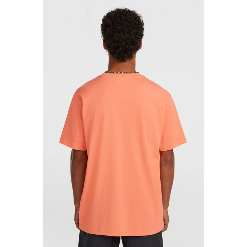 O´Neill Chest Print Tee T-Shirt