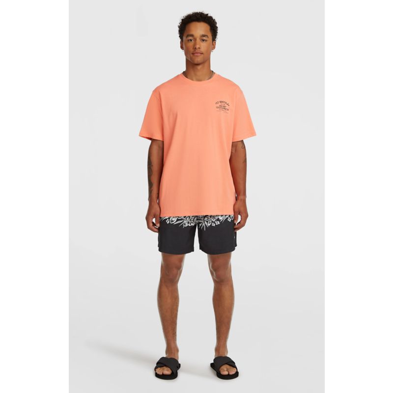 O´Neill Chest Print Tee T-Shirt
