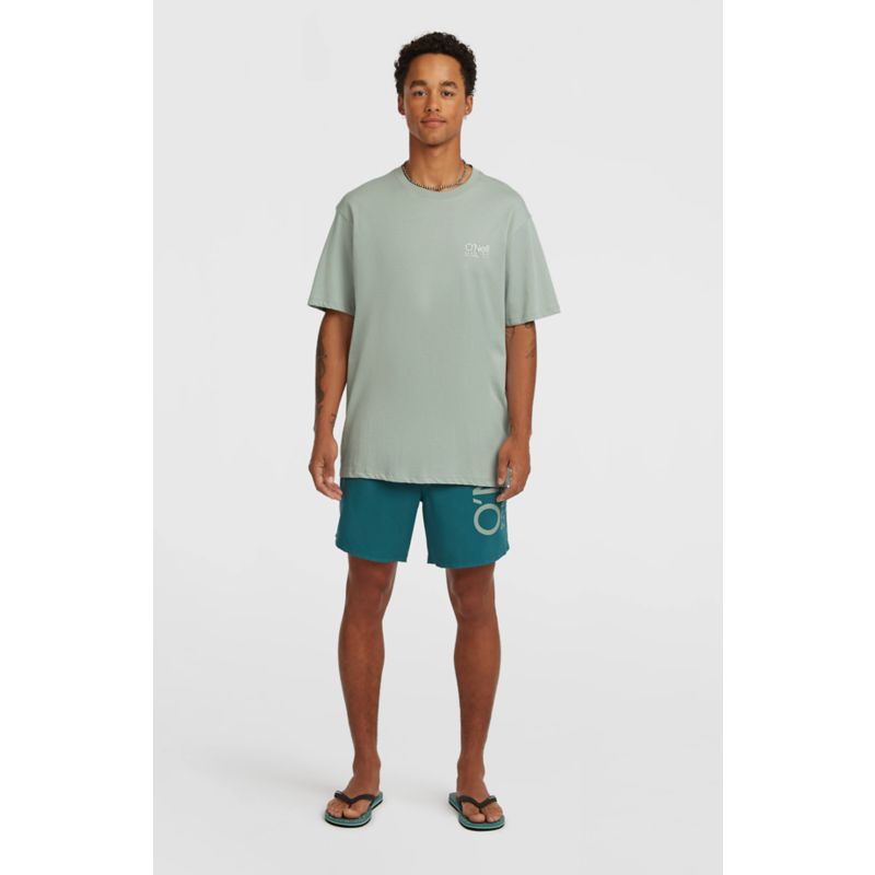 O´Neill Original Cali Tee T-Shirt
