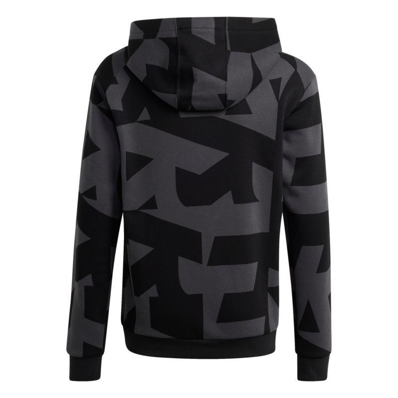 Adidas Terrex Terrex Kids Multi Printed Logo Hoodie Pullover