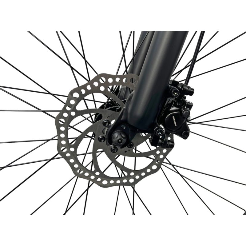 X Fact Ambition 29 Mountainbike