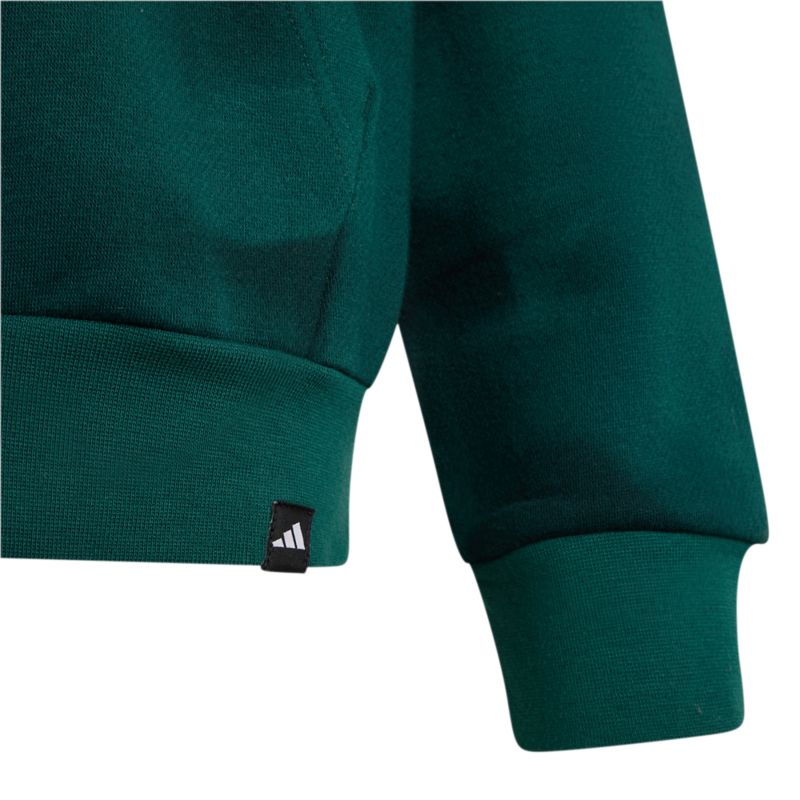 Adidas Terrex K Mt Aop Log Hd pulóver