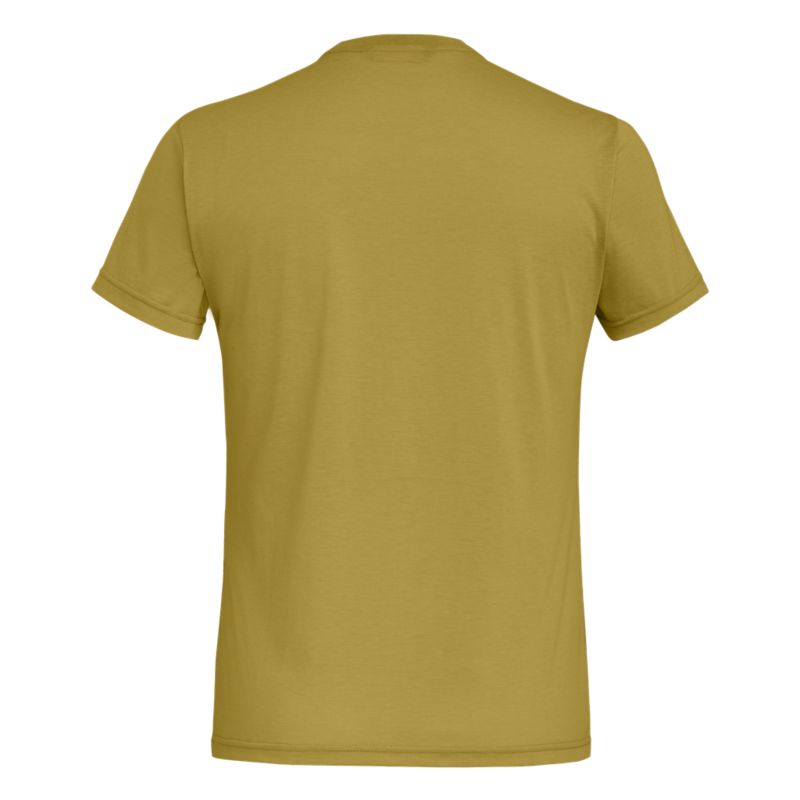 Salewa SOLIDLOGO DRY M T-SHIRT. T-Shirt