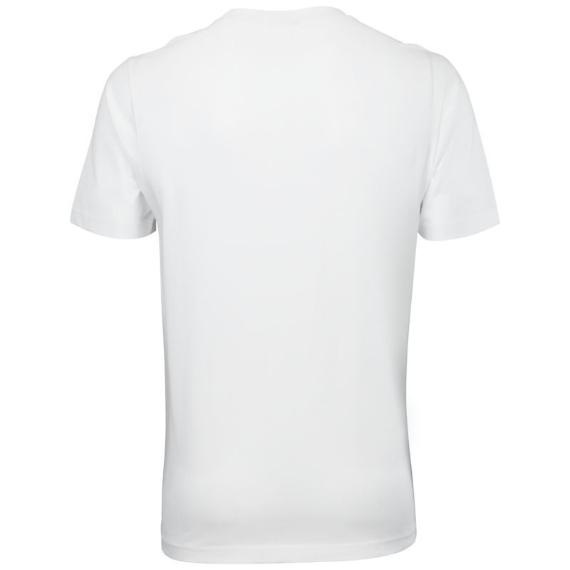 Cygnus ADULT T-SHIRT BEAR T-Shirt